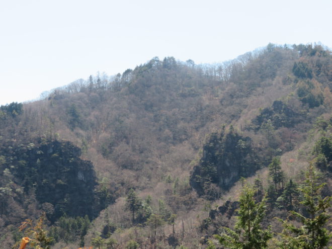 やしおつつぢ 上野村の宿泊 民宿旅館 不二野家